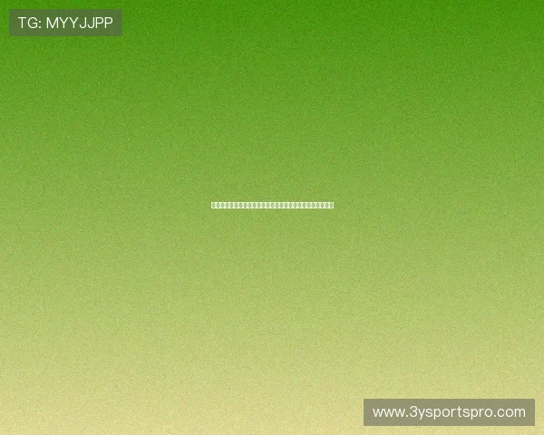 瑞典与荷兰世界杯比赛换人规则最新规定及实际应用情况介绍